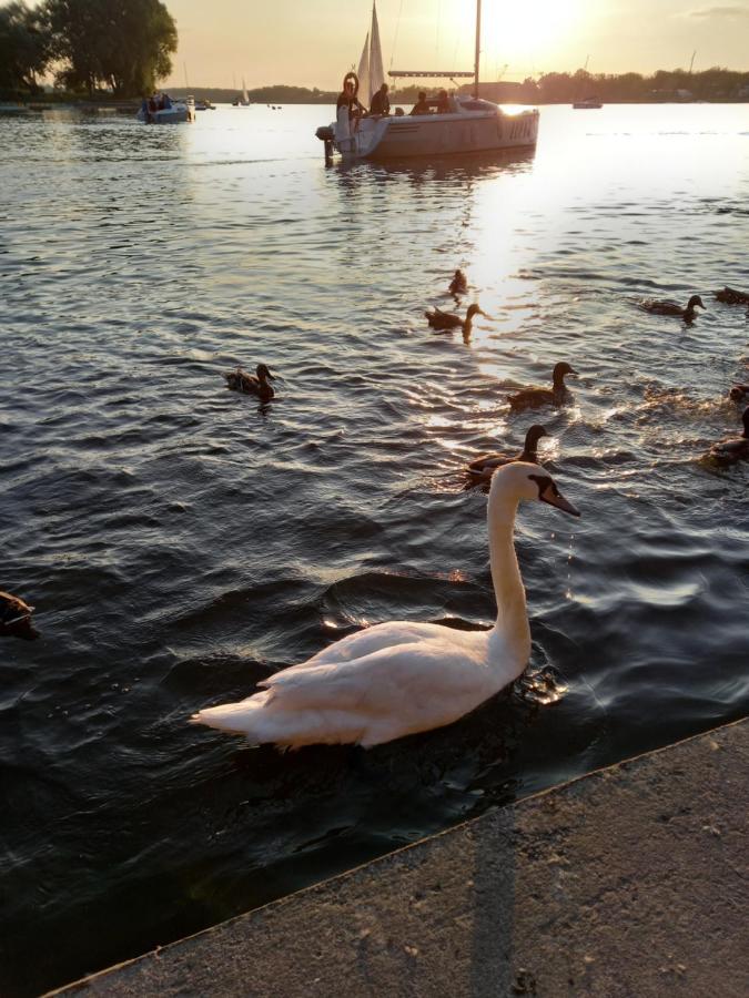 Mieszkanie Do Wynajecia Serce Osrtody Ostróda Exterior foto